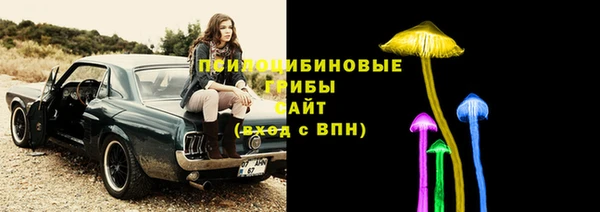 экстази Алексин
