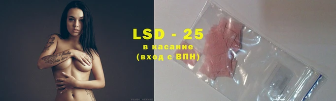МДПВ Алзамай