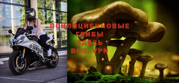МДПВ Алзамай