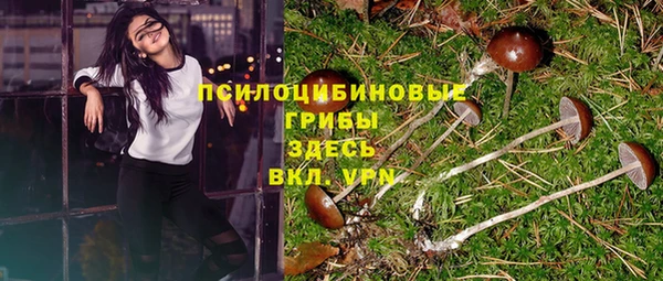 МДПВ Алзамай