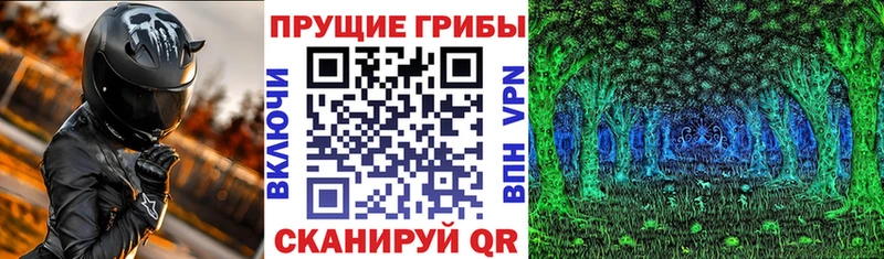 Галлюциногенные грибы ЛСД  где можно купить наркотик  нарко площадка наркотические препараты  Неман 